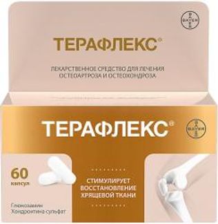 ТЕРАФЛЕКС 500мг+400мг 60 шт. капсулы Макиз-Фарма ООО