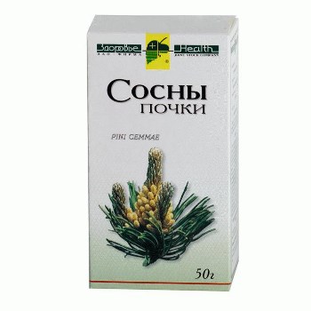 СОСНА ПОЧКИ СОСНА ПОЧКИ
