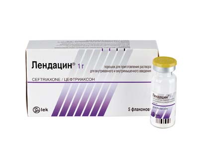 ЛЕНДАЦИН 1г N10 порошок д/приготовления р-ра д/инъекций ЛЕНДАЦИН 1г N10 порошок д/приготовления р-ра д/инъекций