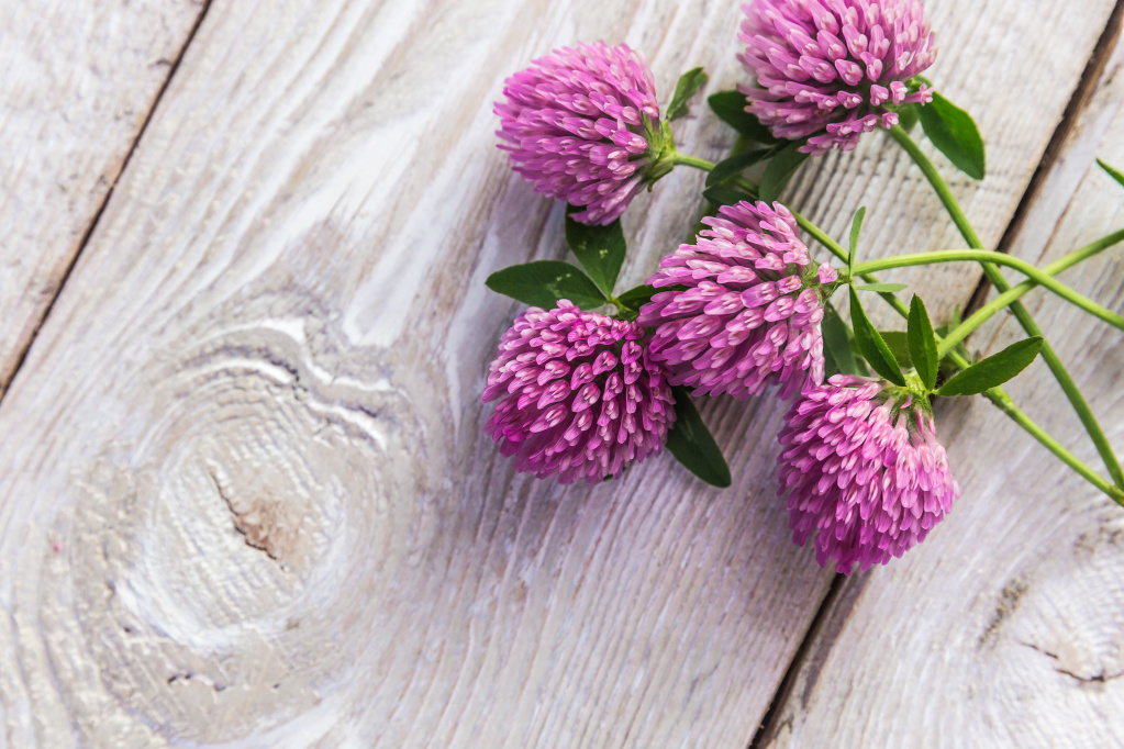 shutterstock_290401127.jpg